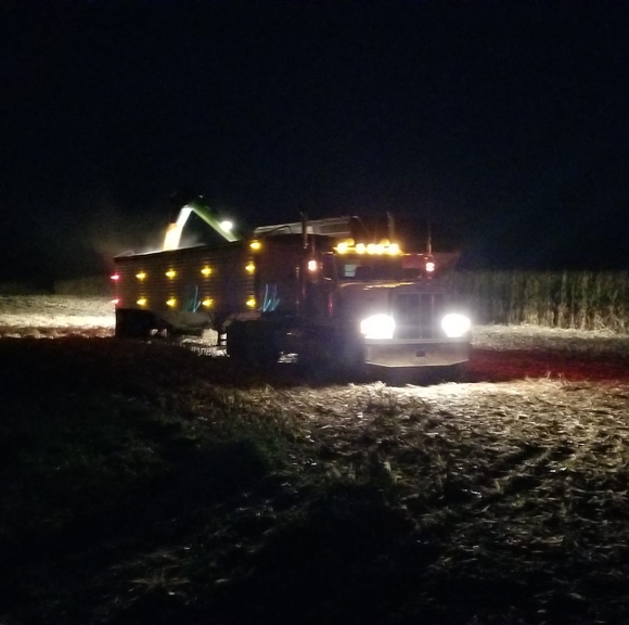 Meet your Posher, James - Picture 1 of 1